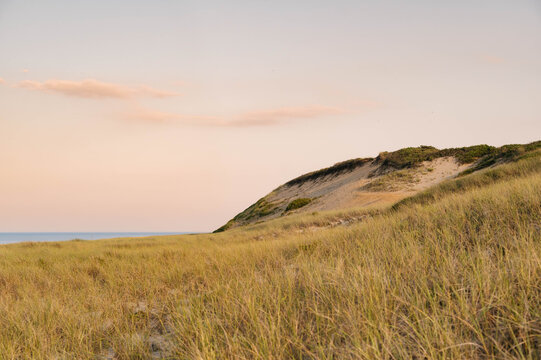 Beach grass covering sand dunes at sunset in Truro, Cape Cod