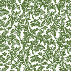 Fototapeta premium Seamless Pattern of Detailed Green Fern Leaves on White Background.