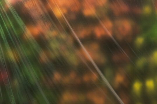 Abstract Spring Foliage Behind Plastic Film with Diagonal Line