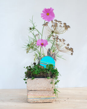 smart speaker and fennel 2