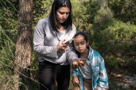 Mother Using Smartphone To Identify Wild Mushroom With Child