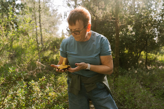 Woman Inspecting Fresh Mushroom Found In Forest