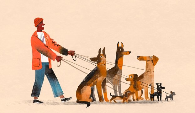 Dog Walker with Multiple Dog Breeds on Leashes