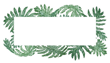 Tropical leaves rectangular frame Philodendron Selloum watercolor botanical illustration. Hand drawn green foliage texture with copy space. Floral nature design for garden card decorative template. © NadyaSaen 