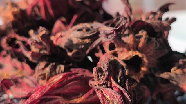 Dried rosella flowers with deep red tones, known for their natural health benefits, rich in antioxidants and commonly used to support immunity and overall wellness.