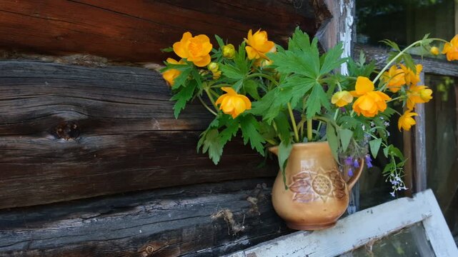 Courtyard. Retro summer still life . Globe Flower in vase outdoors. Yellow flowers Trollius. Rustic style. Summer flowers creates a cozy atmosphere highlighting the welcome