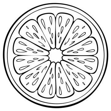 Sliced Orange Circle Composition with Segments in Black and White Drawing
