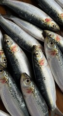 Fototapeta premium Freshly Caught Sardines - A Delicious Seafood Display.