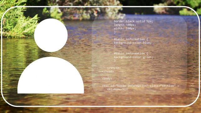 White border appearing over pond, avatar fading, panel revealing HTML or CSS profile for IT hiring