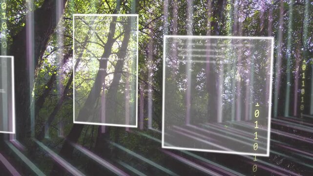 On panel appearing, HUD panels moving, resizing, showing binary code, visualizing data over canopy