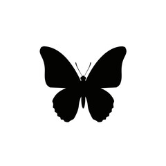 Black Butterfly Silhouette © sangar