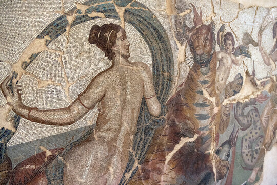 Vibrant Greek mosaic with fine tesserae in the Timgad Museum &mdash; finer detail than Roman examples