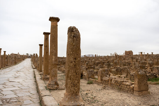 Gravestones excavated from Timgad lined along the museum road