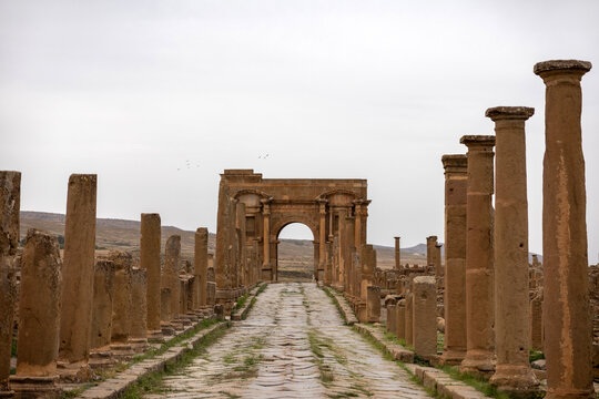 Broad stone-paved road lined with tall columns leading into ancient Timgad