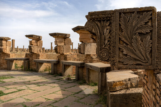 Semicircular Roman market stalls with carved vendor symbols at Timgad