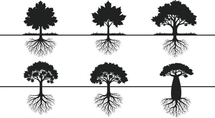 Fototapeta premium Set of black tree silhouettes with visible roots