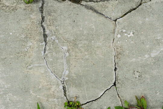 Superficie de concreto agrietado con textura envejecida y brotes de vegetaci&oacute;n emergente