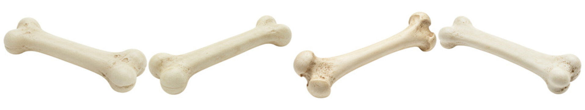 Collection of dog bones for pets, isolated on a transparent background, ready for use in creative projects.