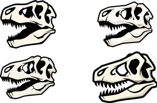 Tyrannosaurus rex skull vector set, prehistoric dinosaur fossil head illustrations, 4 ancient predator bone icons for museum and education branding