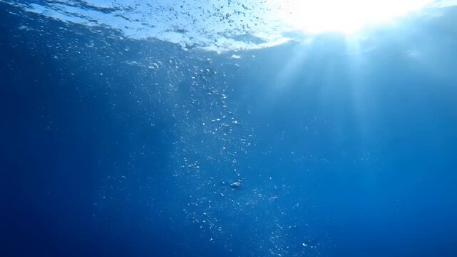 Cinematic underwater view of shimmering air bubbles ascending from the deep ocean toward golden sunlit surface