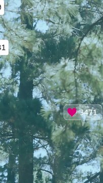 Vertical video: After brief pause icons filling central trunk, floating out, fading, showing stats