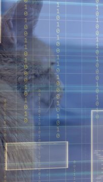 Vertical video: Faint grid appearing and growing, UI panels scanning orange tabby cat for analysis