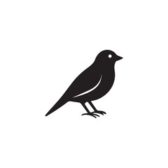 Obraz premium Fringilla teydea blue finch icon silhouette vector design art illustration