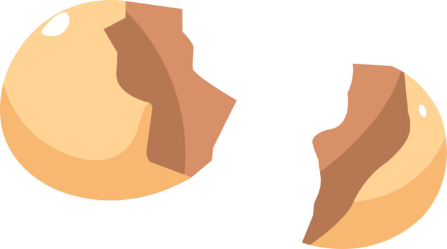 Broken egg with cracked eggshell illustration. Simple flat egg shell pieces icon, isolated on white. Kitchen, food, baking concept vector.