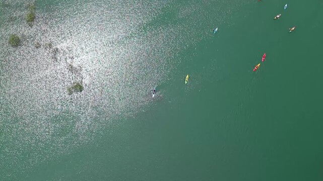 カヌーが浮かぶ輝く湖面は白川湖の水没林