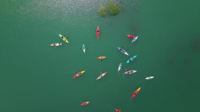 色とりどりのカヌーが浮かぶ白川湖の水没林