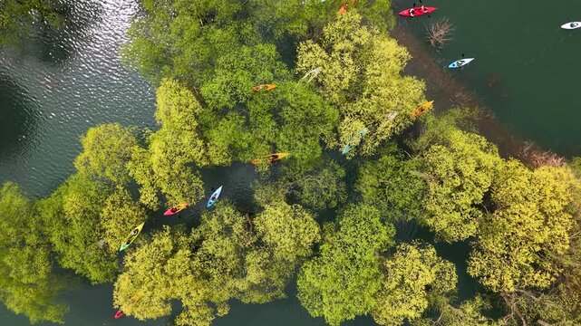 雪解け水で水没した木々を通りぬけるカヌーが浮かぶのは白川湖の水没林