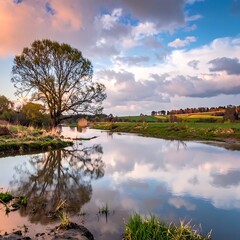 Obraz premium A serene landscape with a tree by a river under a cloudy sky