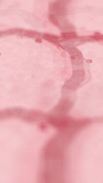 Skin Cells up Close on Human Dermis - Vertical.