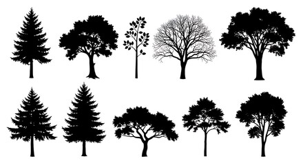 Fototapeta premium Collection of silhouette trees on white background for design elements