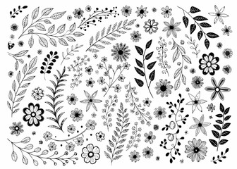 Floral sketch a dense arrangement of hand drawn flowers and foliage © MihirKumarMondal