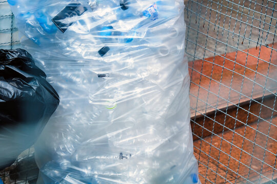 Image of Plastic bottles and containers prepared for recycling