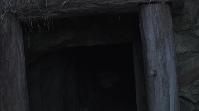 Explore the mysterious entrance of a mining tunnel at Warrandyte Park during evening twilight. The dim light casts dramatic shadows and highlights rustic wooden beams. No people present.