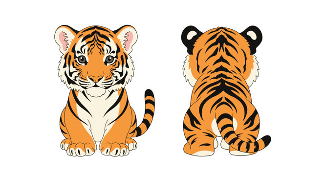 Detailed front and back view of a cute cartoon tiger cub sitting and showing its orange and black striped fur pattern.