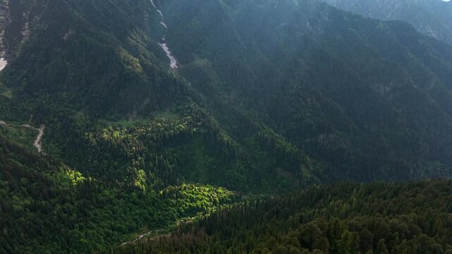 Forested valley with sunlight illuminating patches of trees and slopes near Sar Pass, Himachal Pradesh, India. Drone aerial