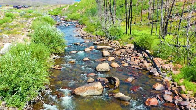 Cinematic aerial following a Montana style river through wide western meadowland with stones green creek margins burned trees and long mountain vistas beneath bright summer clouds above