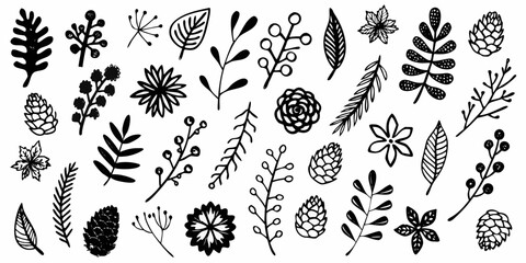 Collection of hand drawn botanical illustrations leaves flowers and pinecones © Uttam