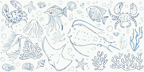 An assortment of whimsical hand drawn marine life and shells © Uttam