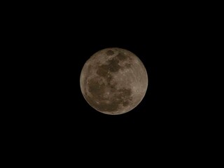 Fototapeta premium full moon in the night