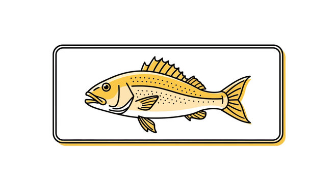 Illustration of a Yellow Drum Fish in a Rectangular Frame