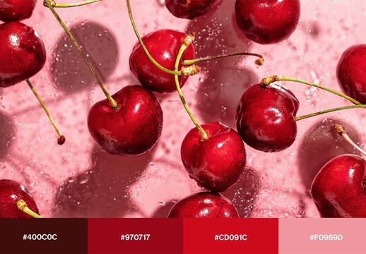 Color Palette Mockup Template & Moodboard For Brand Style Guide Color Swatches
