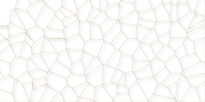 Golden gradient lines stroke abstract white crystalized broken glass background with shadows. Voronoi diagram background. abstract desktop texture design digital art wallpaper, vector illustration.