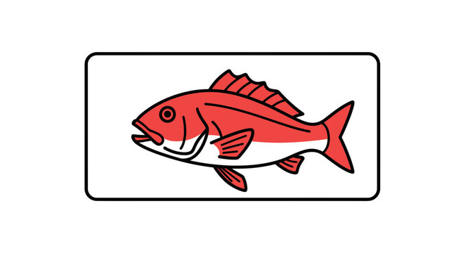 Red Snapper Fish Illustration - Simple Vector Art