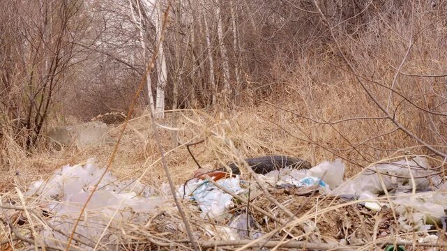 Sustainability concept waste in forest ecology awareness ecology responsibility ecology action for recycling human impact on nature environmental crisis pollution problem need for sustainable living