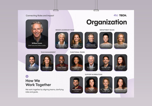 Organization Chart Poster Template, Corporate Team Hierarchy Infographic & Org Structure Layout for Landscape Meet The Team Poster Flyer