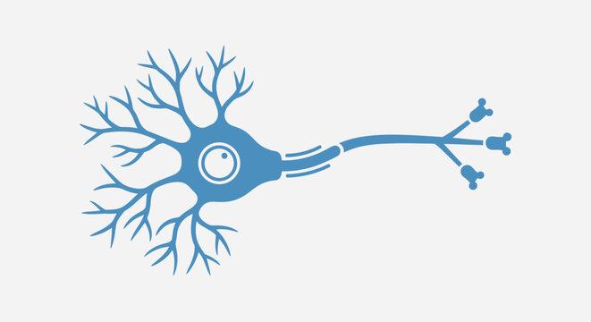 Neuron cell structure with dendrites.